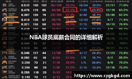 NBA球员底薪合同的详细解析